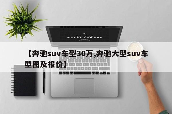 【奔驰suv车型30万,奔驰大型suv车型图及报价】